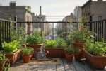 Carré potager sur balcon : cultivez vos légumes en ville